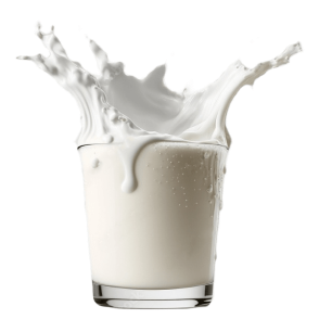 Skim milk powder