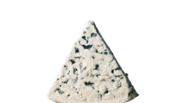 Cheese