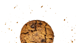 biscuit
